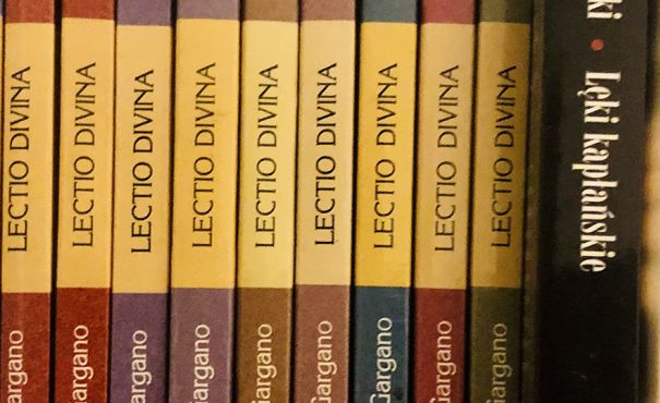 książki fot. Roczynska