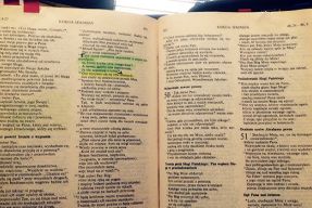 Poiedziałek fot. Roczynsak