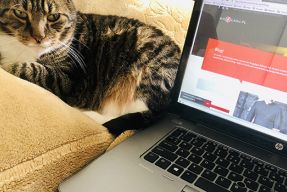 Blogi fot. Roczynska