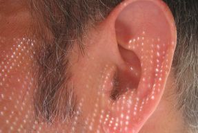 ucho fot. Simon James